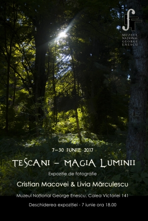 Tescani - Magia Luminii